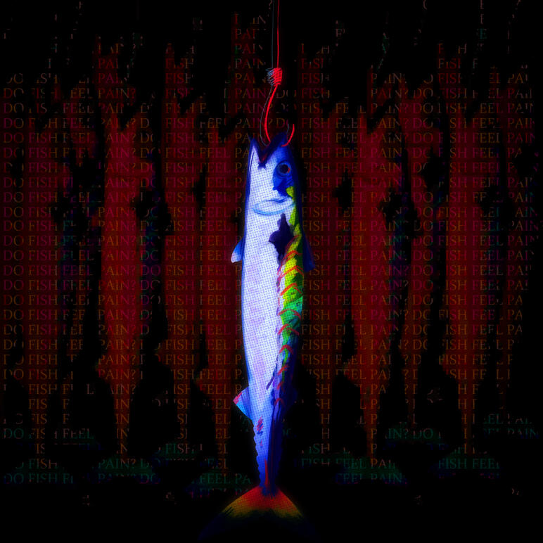 Do Fish Feel Pain